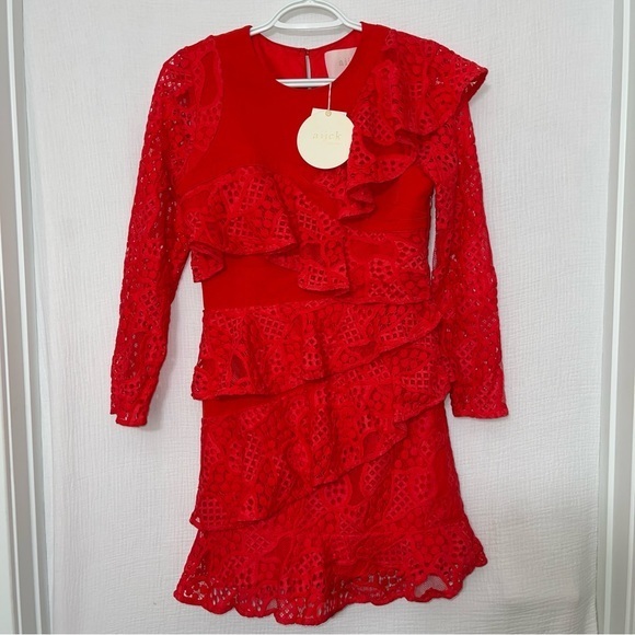 Aijek Mae Ruffled Lace Mini Dress in Rouge NWT - Picture 5 of 8